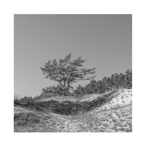 宫本留衣中文字幕在线
